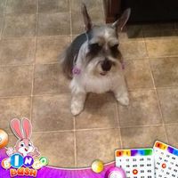 Profile Picture of Doris Prather (@doris-prather-1) on Quora