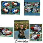 Profile Picture of Jokiweda Lim (@jokiwedalim) on Instagram