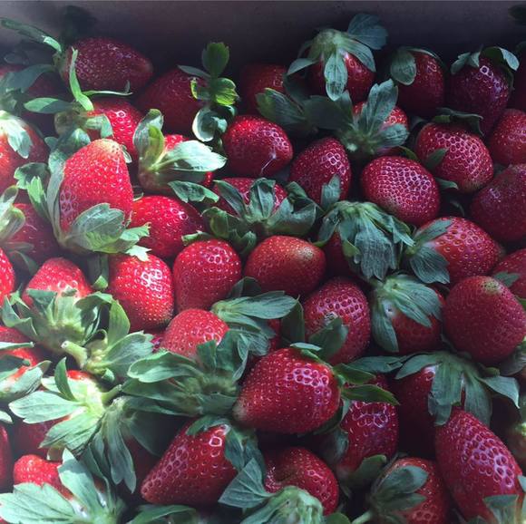 Tony Wang - Poshmark Profile Picture of Tony Wang (@tony_wang) on Poshmark