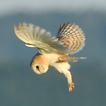 Profile Picture of Jonathan Leigh (@jonnam318) on Flickr