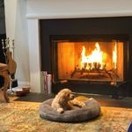 Profile Picture of Martha Wingate Taylor (@marthawingatetaylor) on Instagram