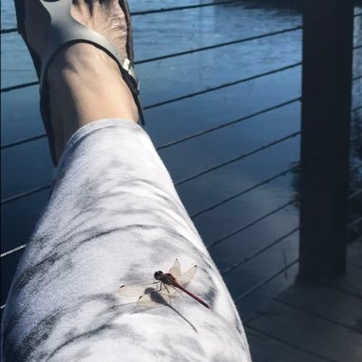 Profile Picture of Laura Grady,DO (@LauraGrady7) on Twitter