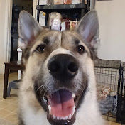 Profile Picture of Jackson Neal (@JacksonNeal-t8j) on Youtube