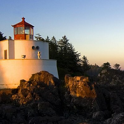 Profile Picture of Amr_issa (@amrissa8) on Twitter