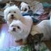 Profile Picture of Lynne Moon (@Lynne-Moon) on Facebook