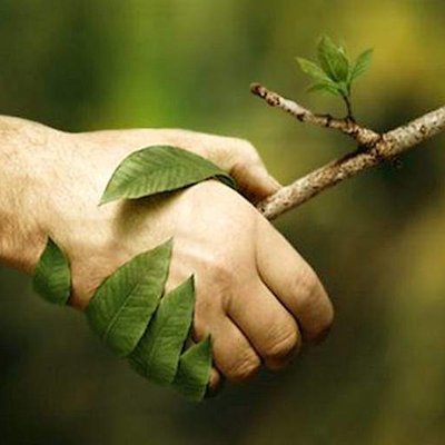 Profile Picture of Naturopathe De Deux Mains (@AlicePicard4) on Twitter