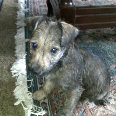 Profile Picture of Jerry Campbell (@jerrycampbell47) on Twitter