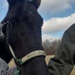 Profile Picture of leia jones (@leiajones98) on Instagram