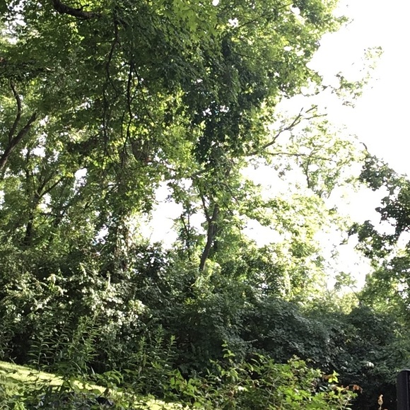 Profile Picture of Caroline Froehlich (@myposhway) on Poshmark