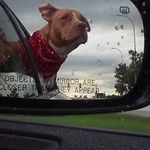 Profile Picture of Bryant Olson (@olsonbryant) on Instagram