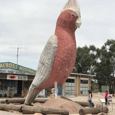 Profile Picture of 💧The Painted Galah (@PaintedGalah) on Twitter