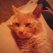 Profile Picture of Cathy Allen (@cathyallen7799) on Youtube