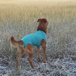 Profile Picture of Daniel Nitsche (@dani8.674) on Instagram