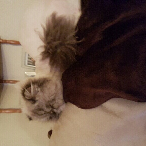 Profile Picture of Donna Keeler (@donnakeeler) on Poshmark