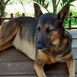 Profile Picture of Richard Northrop (@northroprichard) on Instagram