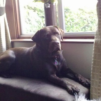 Profile Picture of Mandy Evans (@mandyevans990) on Twitter