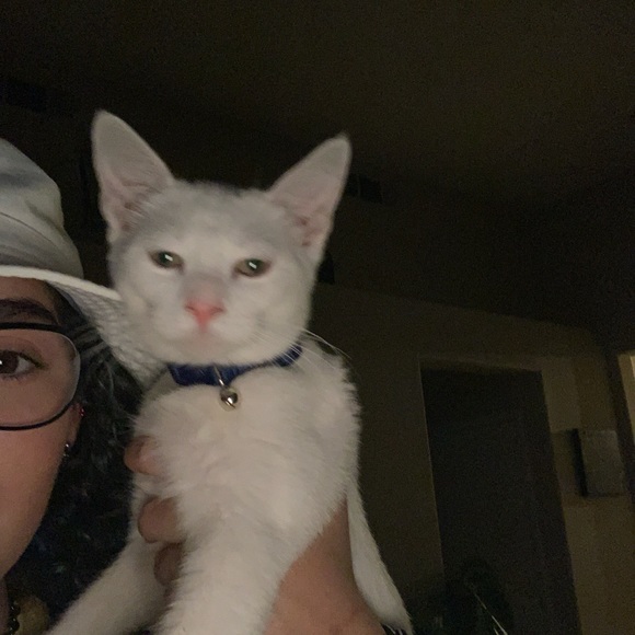 Kylee Talley - Poshmark Profile Picture of Kylee Talley (@kyleetalley) on Poshmark