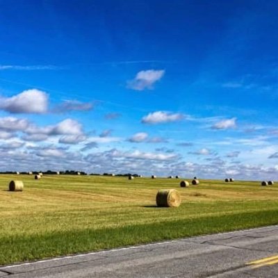 Profile Picture of Ronald Hamm (@RonaldHamm13) on Twitter