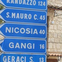 David Gangi - Tiktok Profile Picture of David Gangi (@davidgangi) on Tiktok