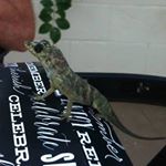 Profile Picture of Glenn Turner (@glennturner2007) on Instagram