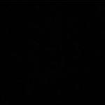 Profile Picture of Alex Walton (@waltandpeppa) on Instagram