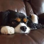 Profile Picture of Maria Mysliwiec (@mysliwiecmaria) on Instagram