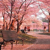 Profile Picture of Odette Rodriguez (@odetterodriguez5348) on Youtube