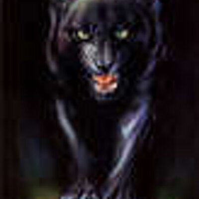 Profile Picture of Bradley Slusher (@bradleyslusher) on Twitter