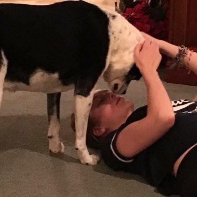 Profile Picture of Claudia Stuart (@csbabysitting) on Twitter