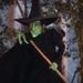 Profile Picture of Paula McKeough (@paulamckeough) on Pinterest