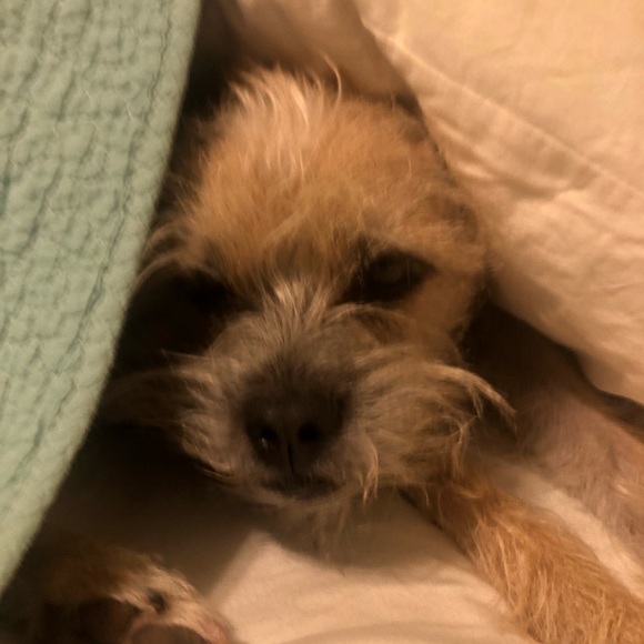 Profile Picture of Shoshana Grattidge (@shoshanaz18) on Poshmark