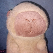 Alfredo Adolfo Ahumada - Youtube Profile Picture of Alfredo Adolfo Ahumada (@alfredoadolfoahumada9359) on Youtube