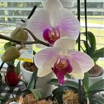 Profile Picture of Gloria Luffman (@gloria.luffman) on Facebook