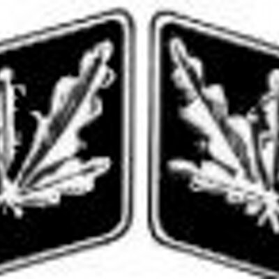 Profile Picture of Frank Steiner (@TheSturm41) on Twitter