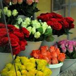 Profile Picture of JAWAEEEER 💥🥀🥀💐💐💥 (@joshua.routlook.sa) on Instagram