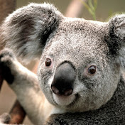 Profile Picture of Kaylee Mcroberts (@kayleemcroberts5338) on Youtube