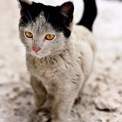 Profile Picture of James McIver (@jaymc84) on Twitter