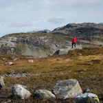 Profile Picture of Pulli (@peterpiper2233) on Instagram