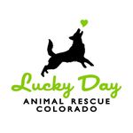 Profile Picture of Lucky Day Animal Rescue (@luckydayrescue) on Instagram