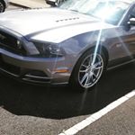 Profile Picture of Jack Gavin Peterman (@utrcrowd_monkey) on Instagram