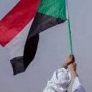 Profile Picture of Mohamed Mahdi Elfaki (@elfaki_mahdi) on Twitter