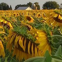 Profile Picture of Marsha Hall (@marsha-hall-8) on Quora