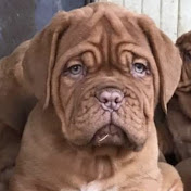 Profile Picture of Ian Miller (@ianmiller5410) on Youtube