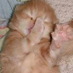 Profile Picture of alexa cañas (@alexaca2019) on Instagram