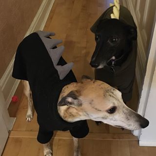 Profile Picture of Trudy Postlethwaite (@Trudy.Postlethwaite) on Facebook