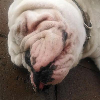 Alex Meraz - Twitter Profile Picture of Alex Meraz (@alexmeraz111) on Twitter