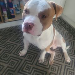 Profile Picture of darrennutting34 (@darrennutting34) on Tiktok