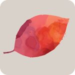 Profile Picture of RedleafWollombi (@redleafwollombi) on Instagram