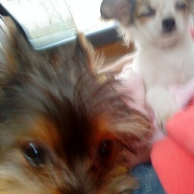 Profile Picture of Au Chun Hei (@jeffrey333888) on Twitter