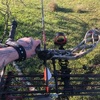 Profile Picture of David Tipping (@@davidtipping7) on Tiktok